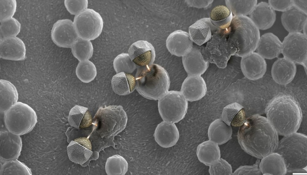 Micro robôs câncer